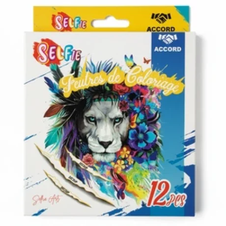 Accord 12 feutres de coloring