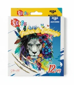 Accord 12 feutres de coloring