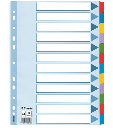 Jeu de 12 Intercalaires ESSELTE