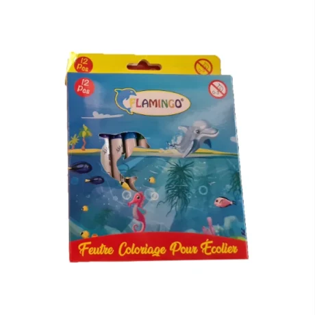 12 Feutres Flamingo