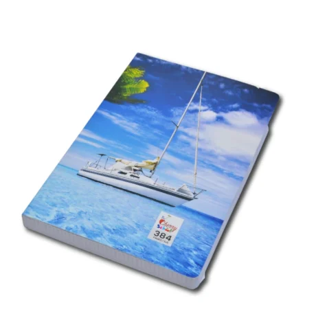 CAHIER BOOST SCHOOL 384 PAGE FORMAT 17X22 SYLVER