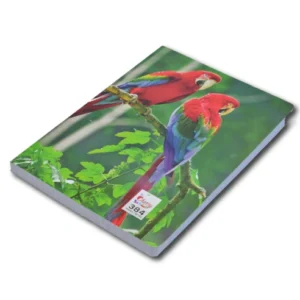 CAHIER BROCHE 384 page format 21x29.70 cm