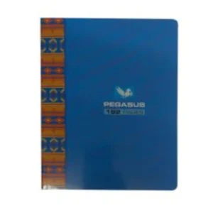 CAHier 192 page TP format 21x29.70 cm 60 ACCORD