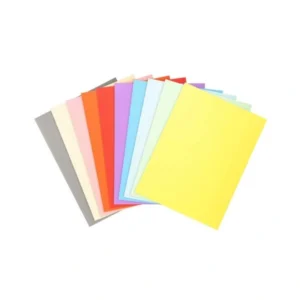 Chemises cartonnées