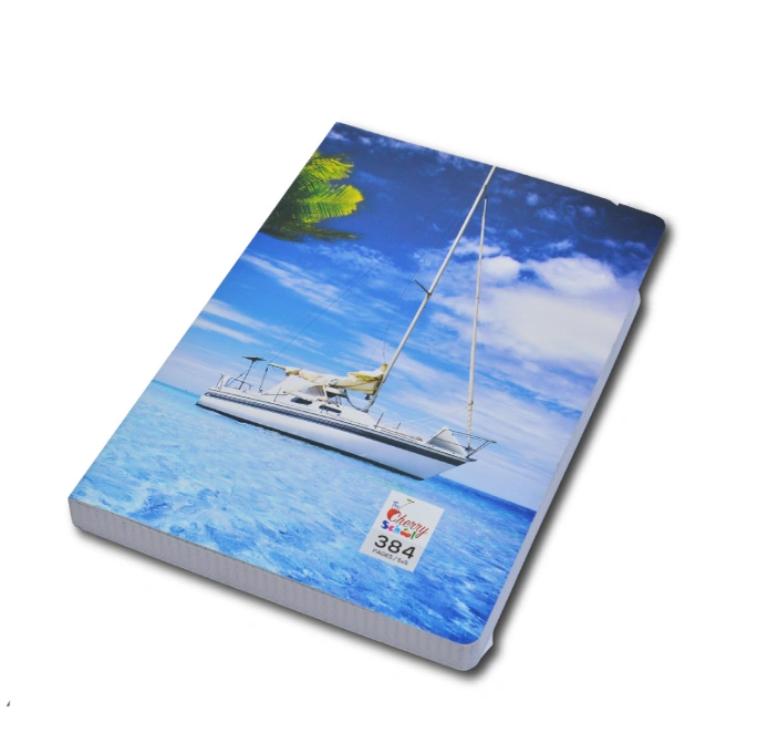 CAHIER BOOST SCHOOL 384 PAGE FORMAT 17X22 SYLVER