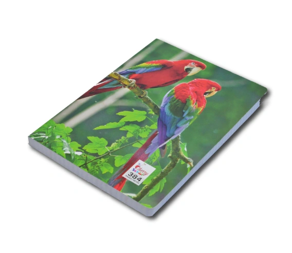 CAHIER BROCHE 384 page format 21x29.70 cm