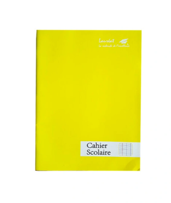 CAHIER BROCHE REINYOM 384 PAGE FORMAT 21X29.70