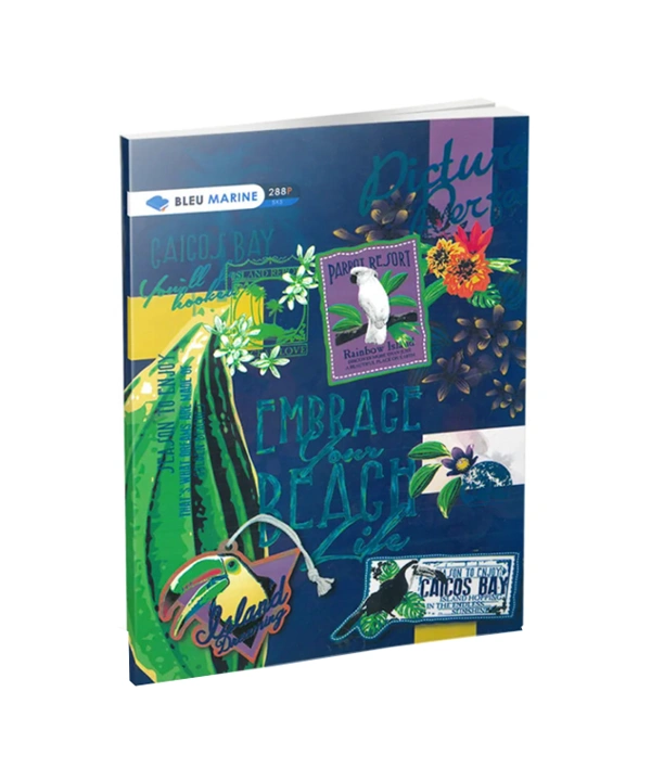 CAHIER PIQUE 384 page BOSTE SCHOOL 21 X 29.70 cm