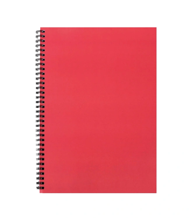 CAHIER SPIRAL 240 PAGE UNIVERSITE ESSENTIEL GRAND FORMAT