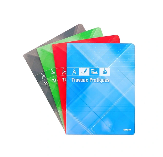 CARNET PIGUE N°3-96 PAGE 9X14 cm