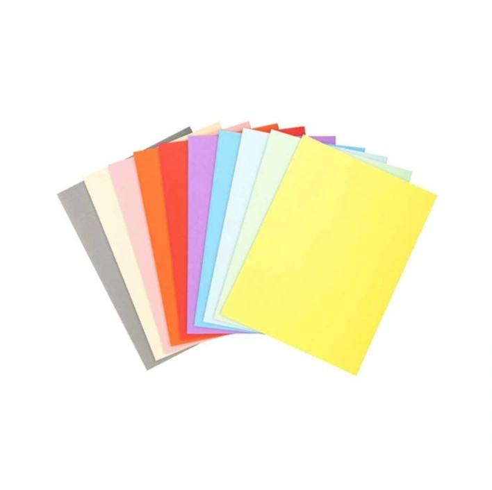 Chemises cartonnées